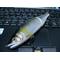 [V:4F4E]徳島県バス釣り[V:4F4E]