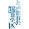 とある都市の虚数学区