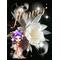 [V:4F48]flower[V:4F48]