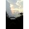 ‡〓ON-LINE〓‡