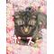 [D:F8EE]2008[D:F8EE]