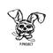 P★PROJECT